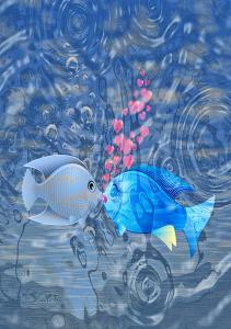 Fish In Love
